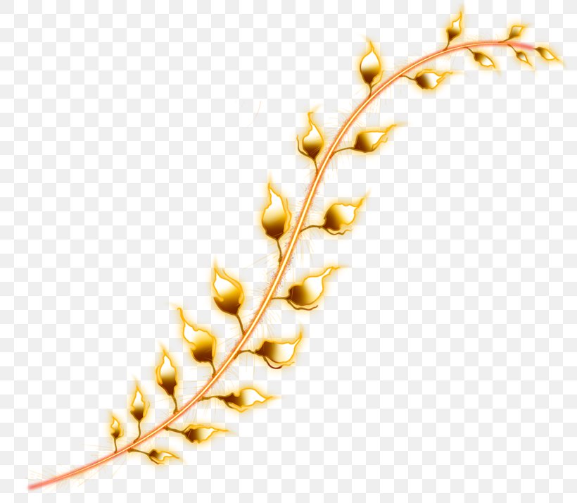 Gold Leaf Commodity Twig Product, PNG, 800x714px, Gold Leaf, Artikel, Branch, Commodity, Foil Download Free