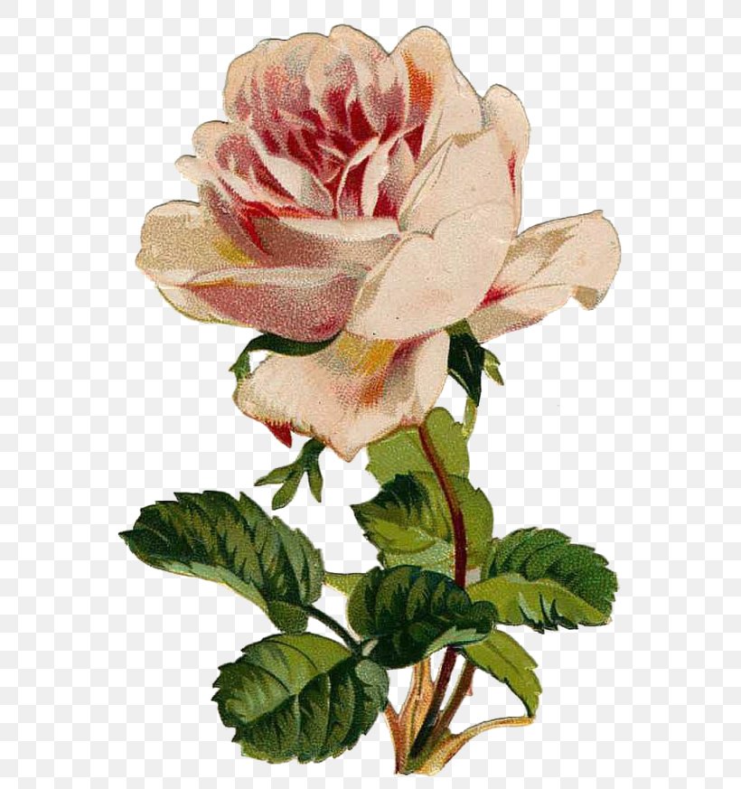 Paper Craft Cross-stitch Clip Art, PNG, 600x873px, Paper, Bead, Cabbage Rose, China Rose, Craft Download Free