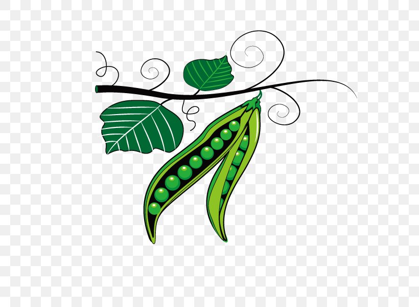Pea Pulse Mung Bean Clip Art, PNG, 600x600px, Pea, Flora, Flowering Plant, Food, Fruit Download Free