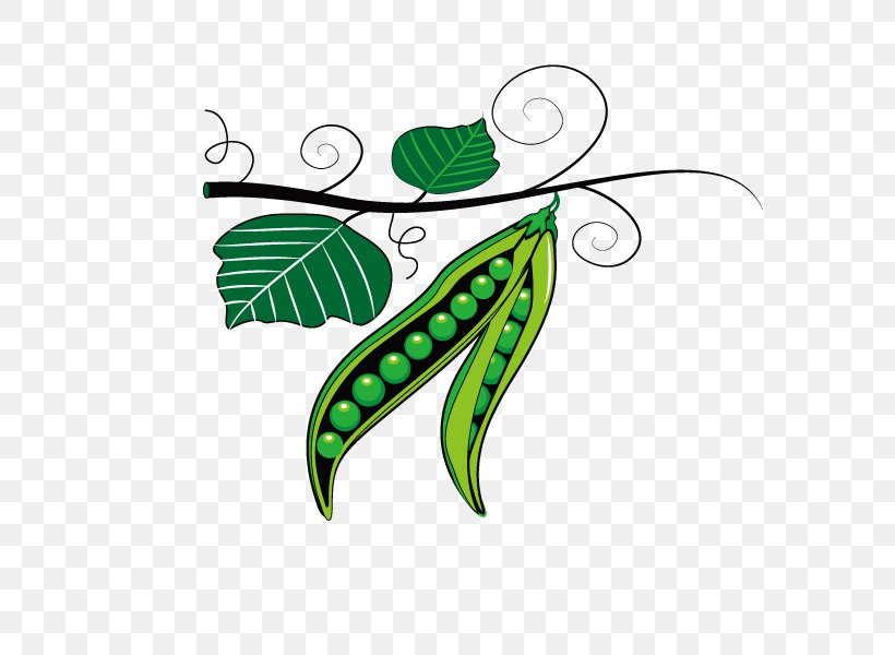 monggo plant clipart for kids