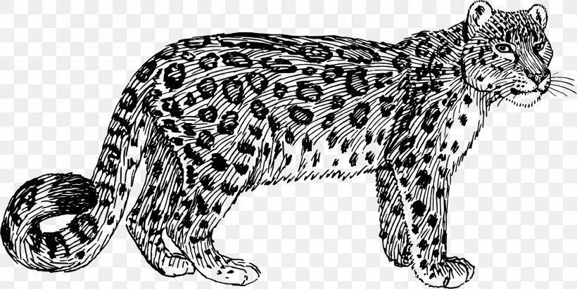 Snow Leopard Felidae Tiger Clip Art, PNG, 2375x1191px, Snow Leopard, Amur Leopard, Animal Figure, Big Cats, Black And White Download Free