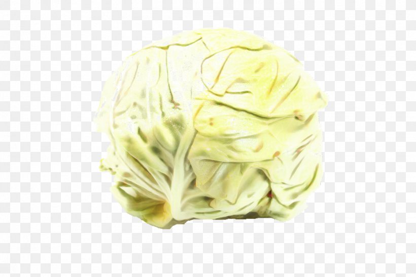 Vegetables Cartoon, PNG, 1598x1067px, Yellow, Cabbage, Flower, Leaf Vegetable, Lettuce Download Free