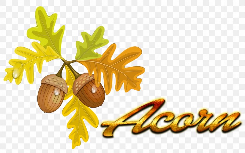 Acorn Autumn Leaf Color Quercus Cerris Clip Art, PNG, 1920x1200px, Acorn, Autumn, Autumn Leaf Color, Branch, Flower Download Free
