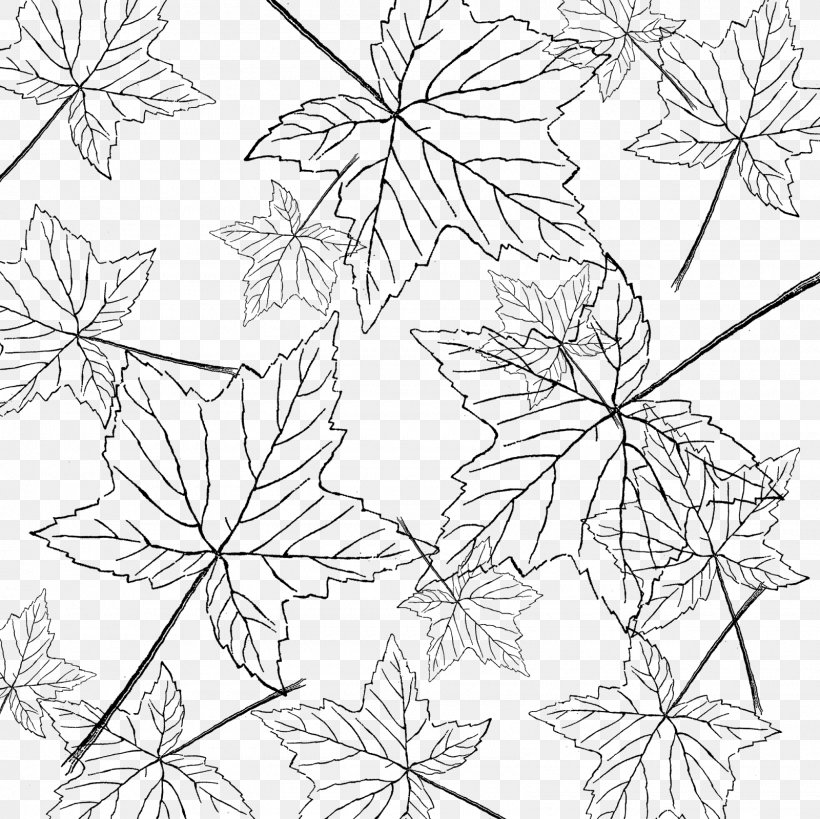 Leaf Line Art Floral Design, PNG, 1600x1600px, Leaf, Area, Artist, Autumn Leaf Color, Background Artist Download Free