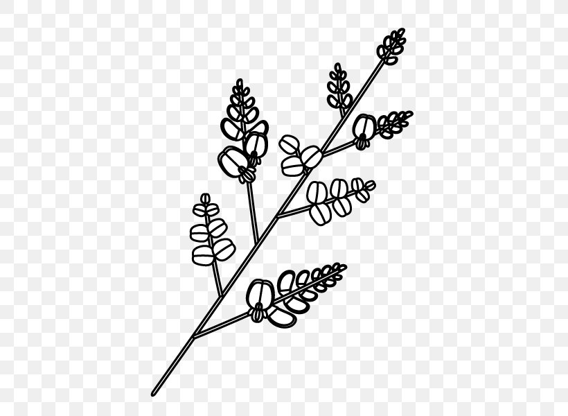 Black And White Coloring Book Illustration Graphics Monochrome Painting, PNG, 600x600px, Black And White, Autumn, Branch, Clover, Coloring Book Download Free