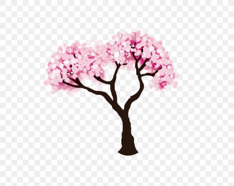 Cherry Blossom Drawing Fruit Tree, PNG, 1001x797px, Blossom, Branch, Cherry, Cherry Blossom, Drawing Download Free