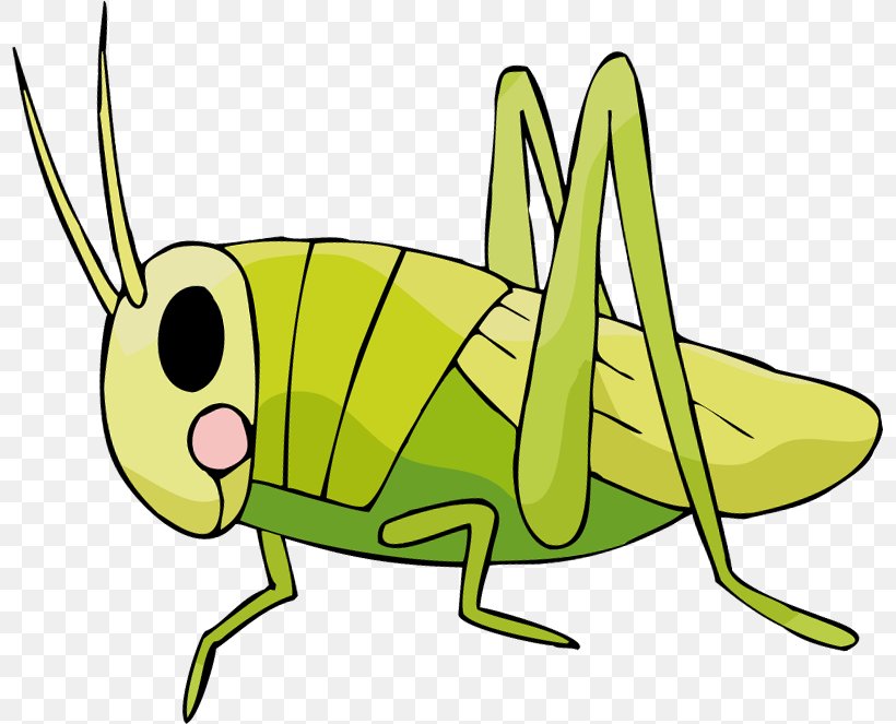Insect Cartoon Fauna Yellow Clip Art, PNG, 798x663px, Insect, Artwork, Cartoon, Fauna, Invertebrate Download Free