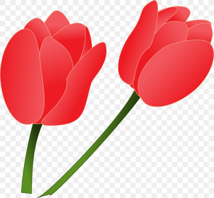 Tulip Clip Art, PNG, 1920x1776px, Tulip, Digital Image, Document, Flower, Flowering Plant Download Free