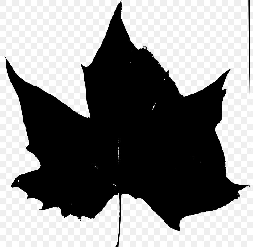 Autumn Leaf Color Clip Art, PNG, 800x800px, Leaf, Autumn, Autumn Leaf Color, Black, Black And White Download Free