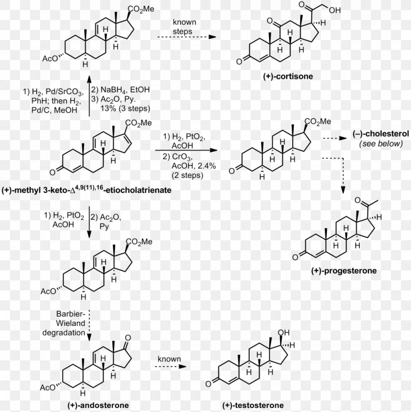 Cholesterol Total Synthesis Organic Chemistry Cortisone, PNG, 1020x1024px, Cholesterol, Area, Biosynthesis, Black And White, Brand Download Free