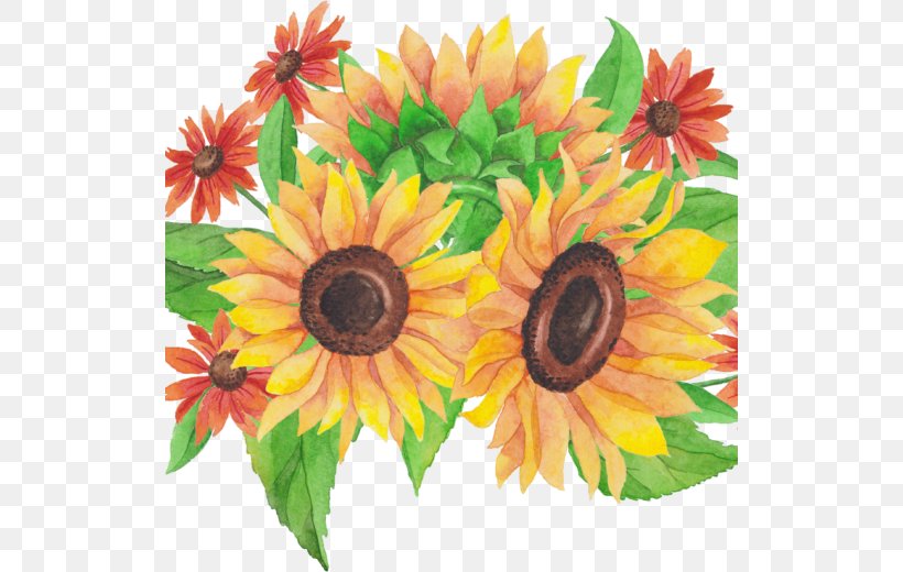 Common Sunflower Flower Bouquet Cut Flowers Floral Design, PNG, 520x520px, Common Sunflower, Annual Plant, Com, Cut Flowers, Daisy Family Download Free