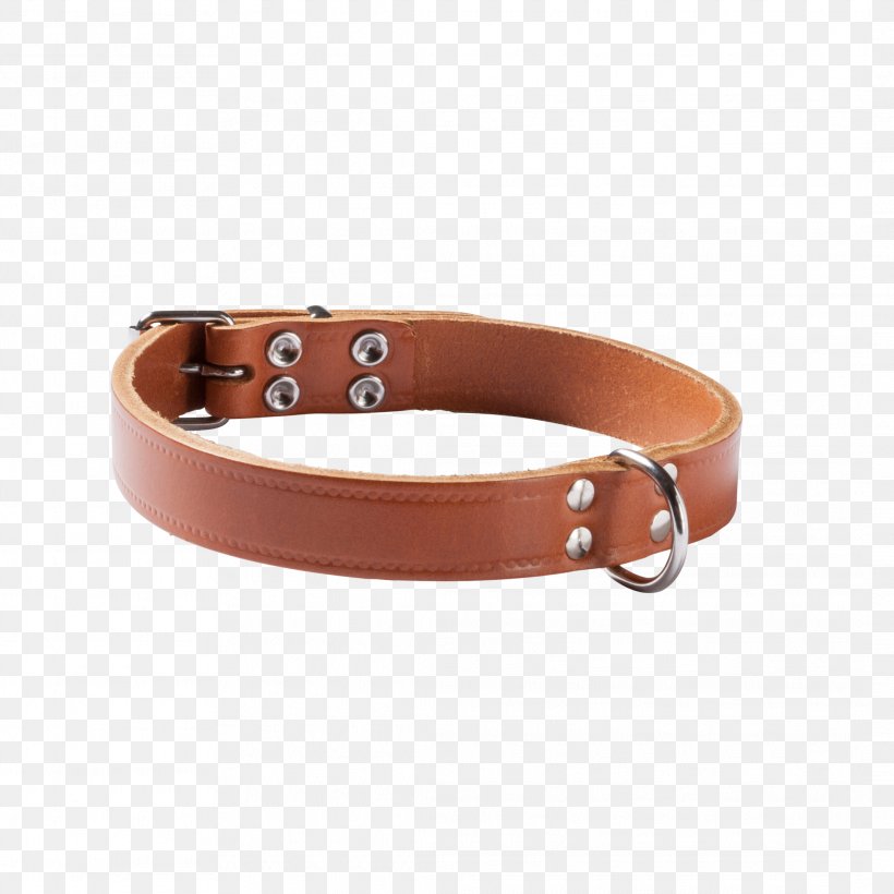Dog Collar Strap, PNG, 2127x2127px, Collar, Belt, Belt Buckle, Belt Buckles, Brown Download Free