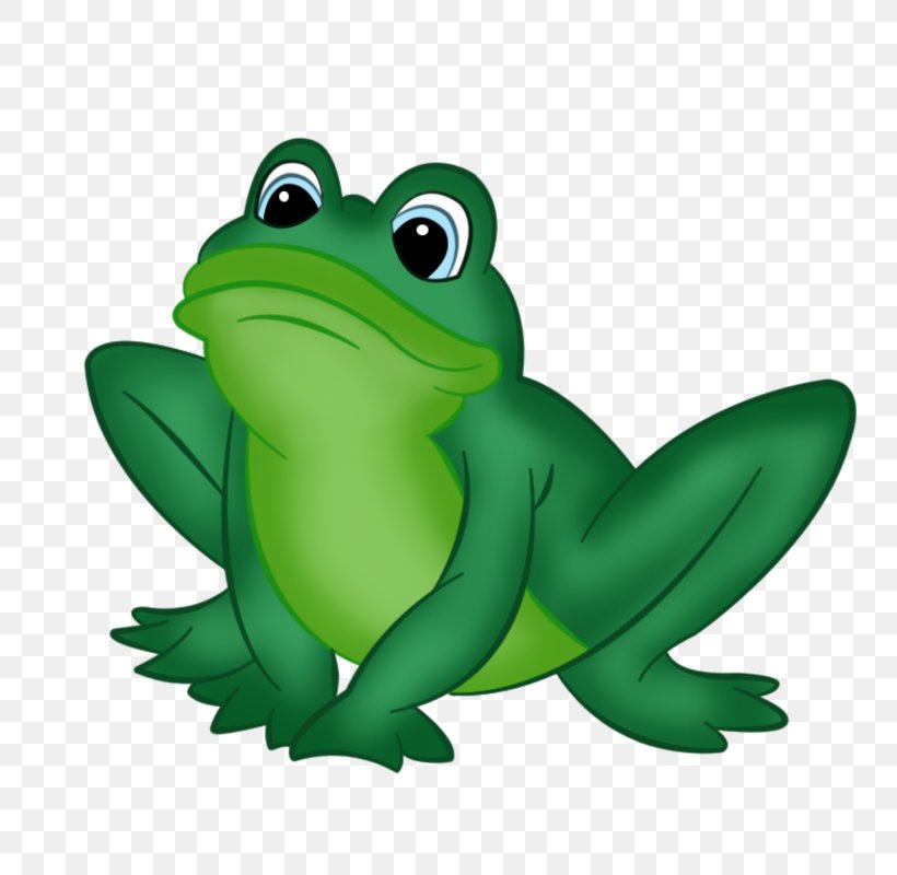 Frog, PNG, 800x800px, Frog, Amphibian, Cdr, Child, Green Download Free