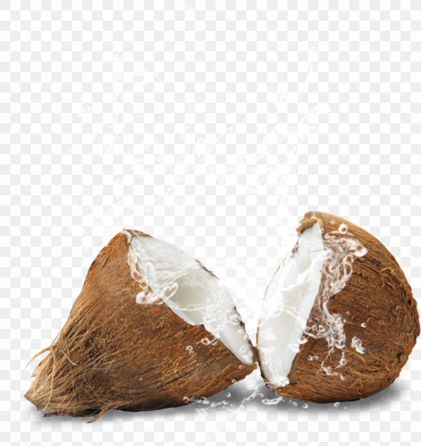 Oil Mill .com Ingredient Coconut, PNG, 875x927px, Oil, Badlapur, City, Coconut, Com Download Free