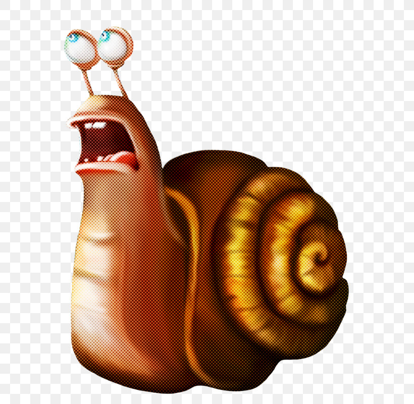 Snails And Slugs Snail Sea Snail Lymnaeidae Still Life, PNG, 616x800px, Snails And Slugs, Lymnaeidae, Sea Snail, Snail, Still Life Download Free