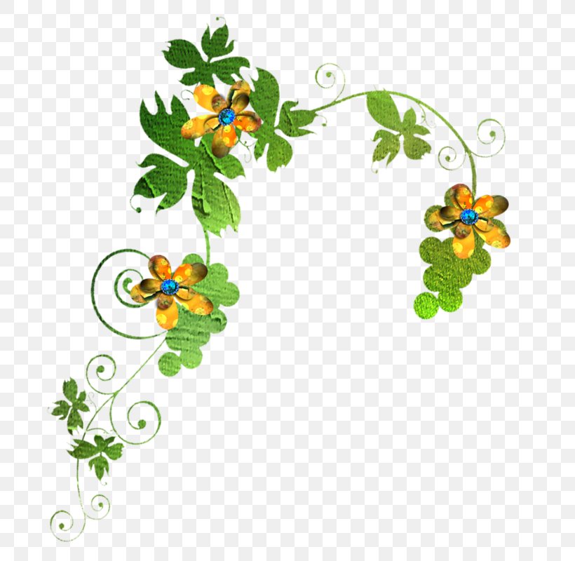 Flower Painting Clip Art, PNG, 800x800px, Flower, Auglis, Branch, Drink, Flora Download Free