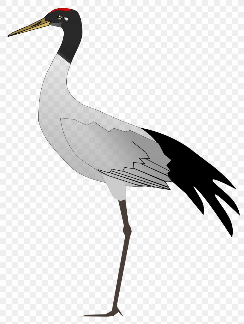 Ladakh States And Territories Of India Bird Crane, PNG, 2000x2655px, Ladakh, Barheaded Goose, Beak, Bird, Blacknecked Crane Download Free