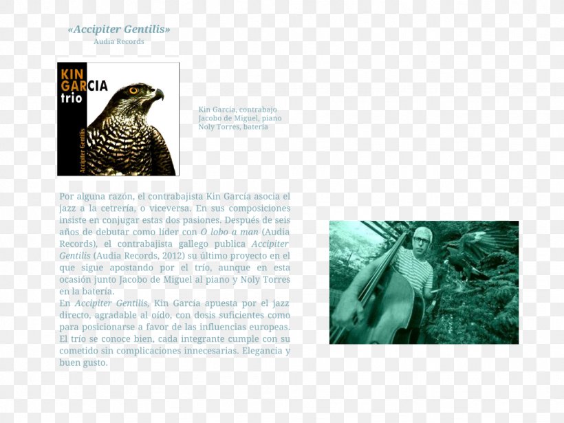 Animal Brochure, PNG, 1024x768px, Animal, Brand, Brochure, Fauna, Organism Download Free