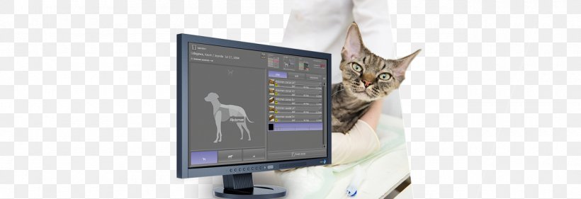 Digital Radiography Computed Radiography DICOM Veterinary Medicine, PNG, 1280x440px, Digital Radiography, Automatic Exposure Control, Communication, Computed Radiography, Computer Download Free