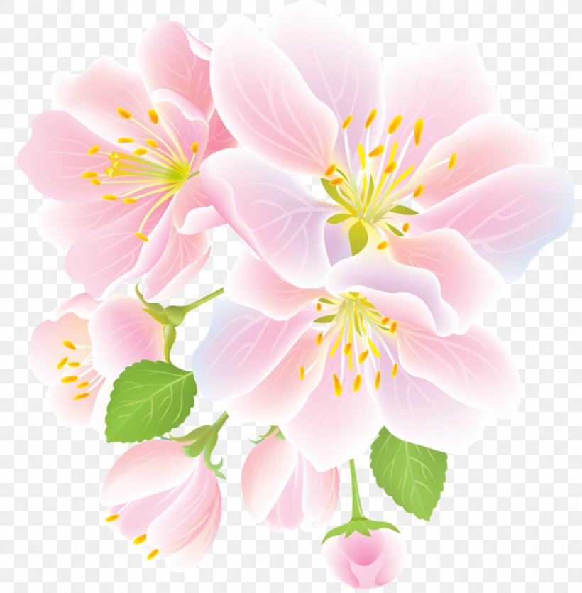 Flower Clip Art, PNG, 2396x2442px, Flower, Alstroemeriaceae, Apples, Blossom, Branch Download Free