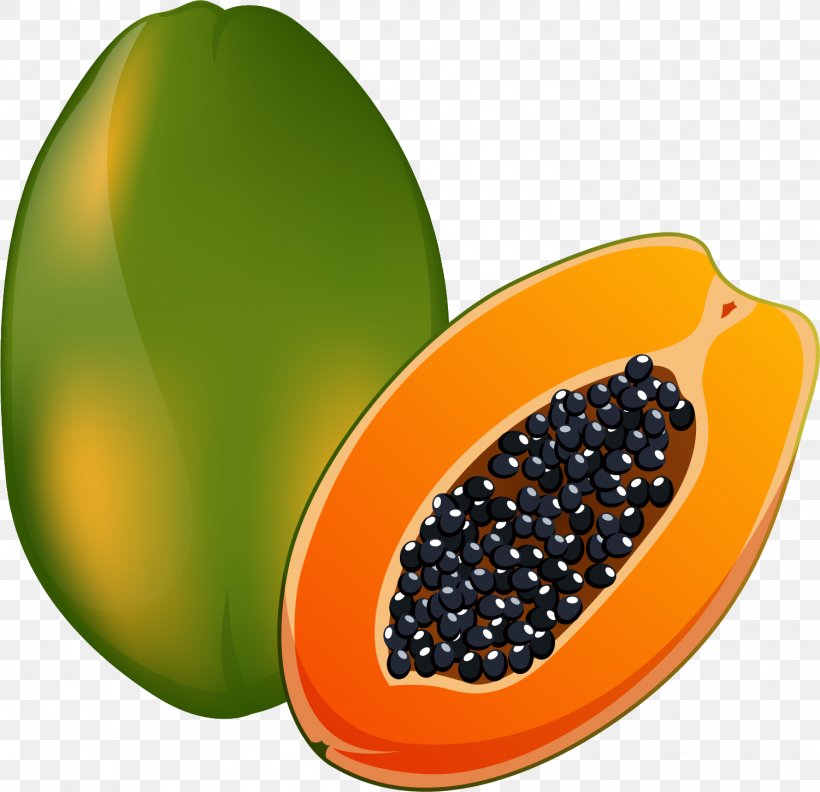 Papaya Illustration, PNG, 1501x1450px, Papaya, Food, Fruit, Natural Foods, Police Vectorielle Download Free