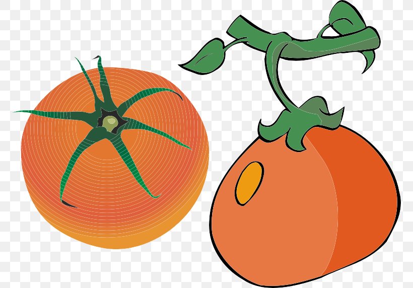 Pumpkin Orange Auglis Cartoon, PNG, 773x572px, Pumpkin, Animation, Apple, Auglis, Calabaza Download Free