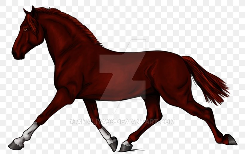 Horse Cartoon, PNG, 800x515px, Stallion, American Quarter Horse, Animal Figure, Animation, Black Download Free