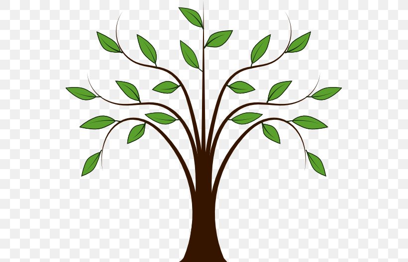 Tree Free Content Clip Art, PNG, 555x527px, Tree, Blog, Branch, Family Tree, Flora Download Free