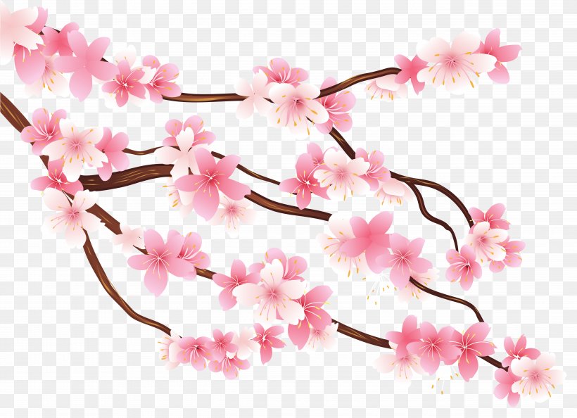 Branch Cherry Blossom Clip Art, PNG, 5090x3693px, Branch, Blossom, Cherry Blossom, Flower, Flowering Plant Download Free