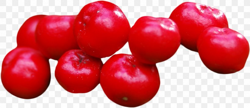 Tomato Cartoon, PNG, 1279x556px, 2019 Toyota Avalon, Plum Tomato, Barbados Cherry, Berries, Berry Download Free