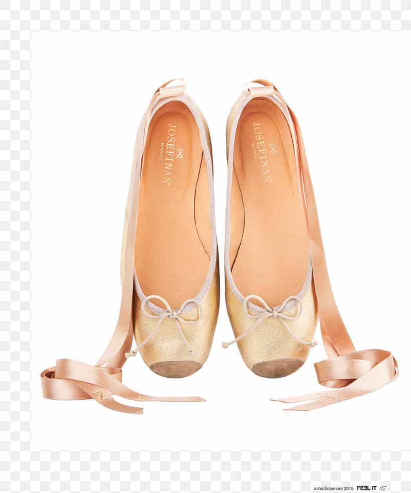 Ballet Flat Slipper Ballet Shoe Ballet Dancer, PNG, 1100x1319px, Watercolor, Cartoon, Flower, Frame, Heart Download Free