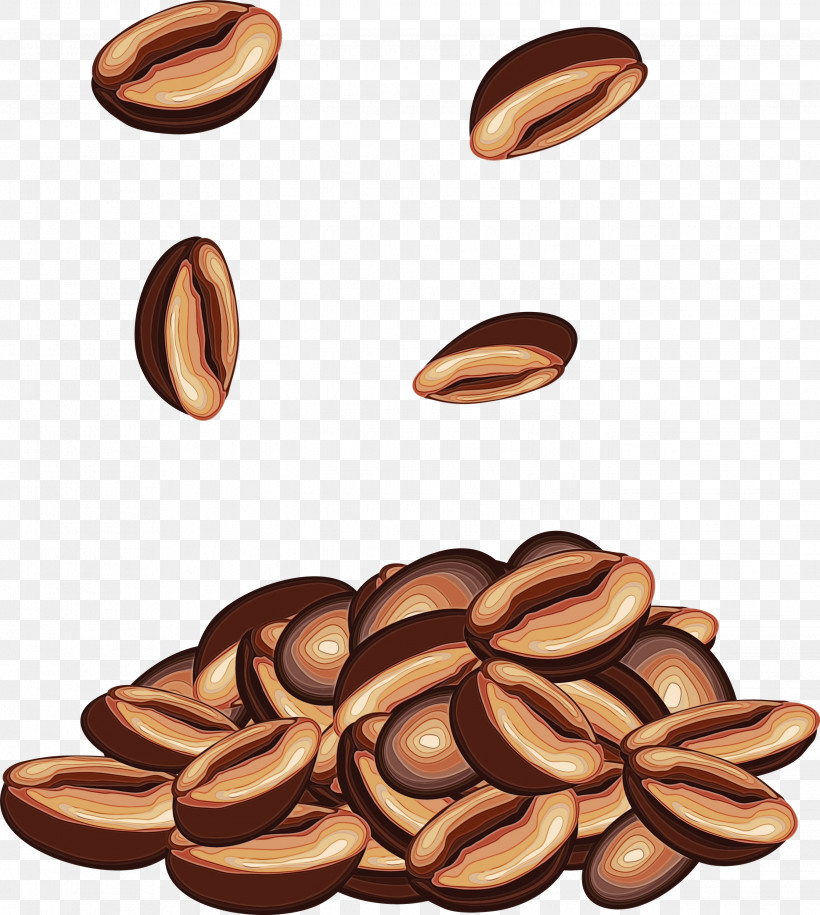 Plant Food Nuts & Seeds Seed, PNG, 2688x3000px, Coffee, Food, Nuts Seeds, Paint, Plant Download Free