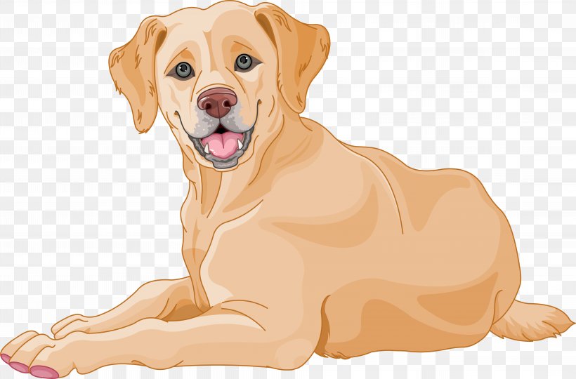Golden Retriever Background, PNG, 8886x5853px, Labrador Retriever, Companion Dog, Dog, Fawn, Golden Retriever Download Free