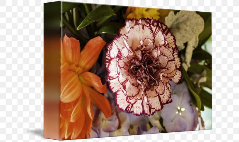 Petal Flora Floristry, PNG, 650x487px, Petal, Flora, Floristry, Flower, Plant Download Free