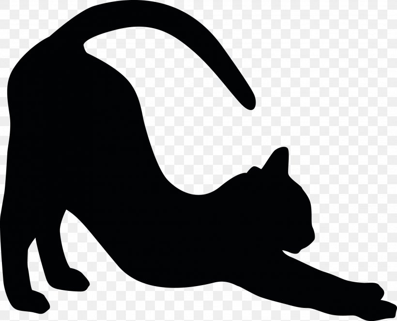 Cat Whiskers Bumper Sticker Adhesive, PNG, 2217x1791px, Cat, Adhesive, Animal, Black, Black And White Download Free