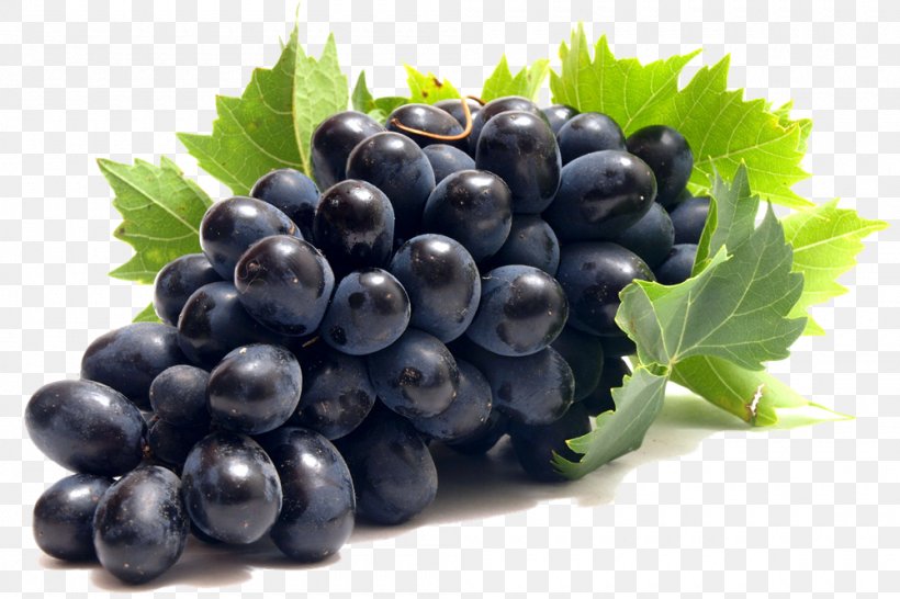 Common Grape Vine Clip Art, PNG, 1000x667px, Common Grape Vine, Berry, Bilberry, Blueberry, Currant Download Free