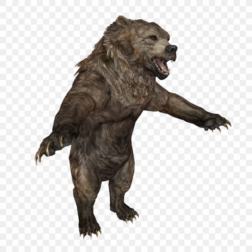 Enderal: The Shards Of Order Grizzly Bear SureAI Animal, PNG, 1000x1000px, Enderal The Shards Of Order, Address Resolution Protocol, Animal, Bear, Carnivoran Download Free