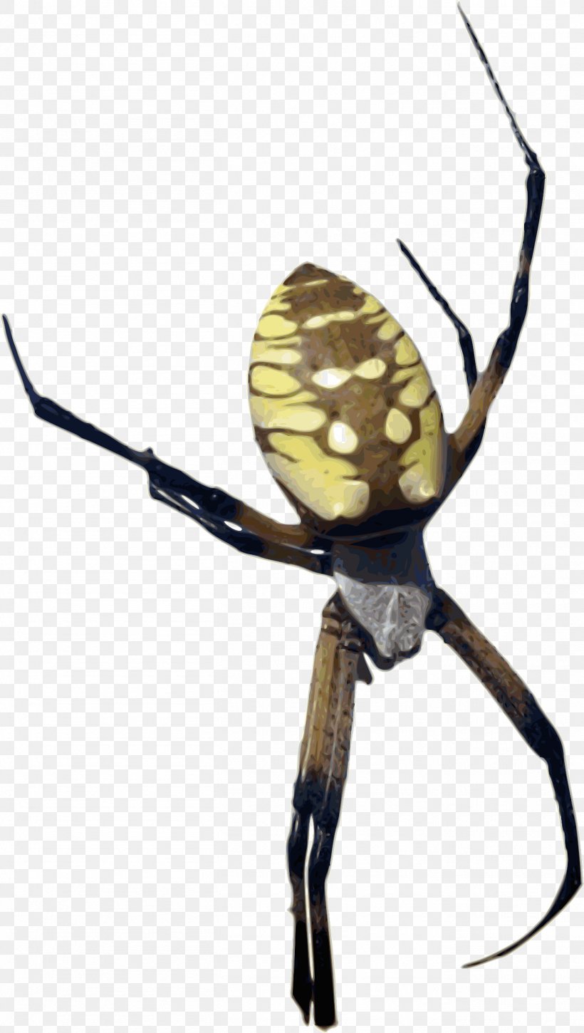 I Love Spiders Yellow Banana Clip Art, PNG, 1357x2400px, Spider, Arachnid, Armed Spiders, Arthropod, Banana Download Free