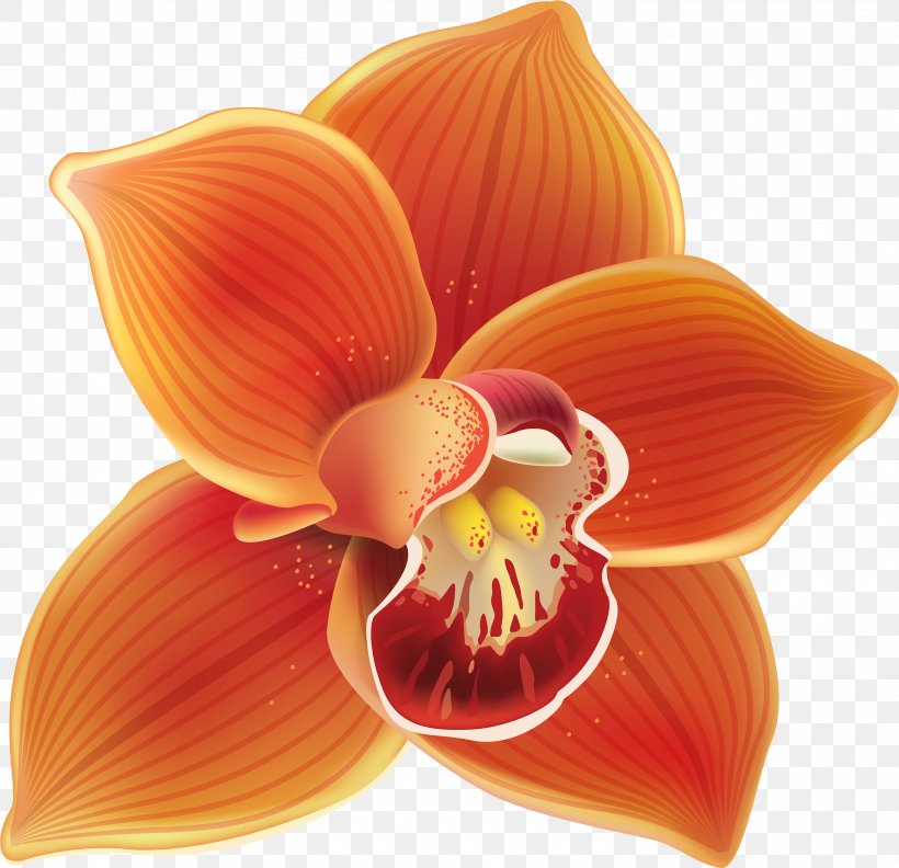 Orange, PNG, 2925x2826px, Orange, Closeup, Flower, Moth Orchid, Orchid Download Free