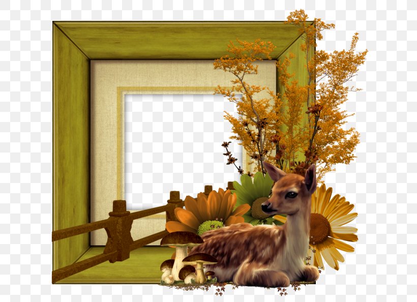 Picture Frames Clip Art, PNG, 645x594px, Picture Frames, Animation, Deer, Fauna, Film Editing Download Free