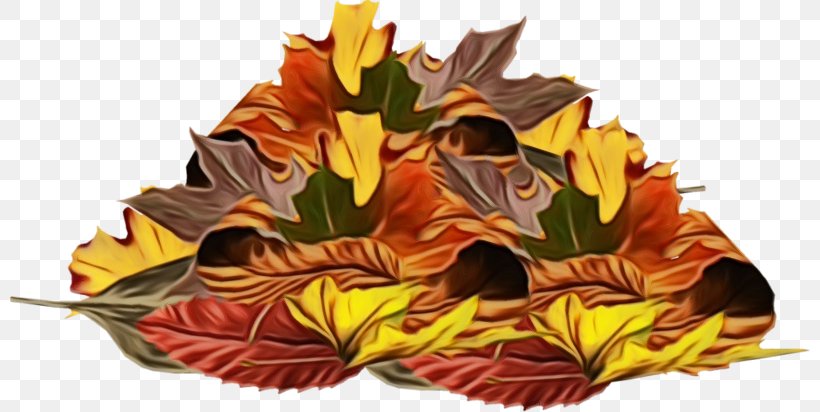 Leaf Yellow Flower Plant Tree, PNG, 800x412px, Watercolor, Anthurium, Flower, Leaf, Paint Download Free