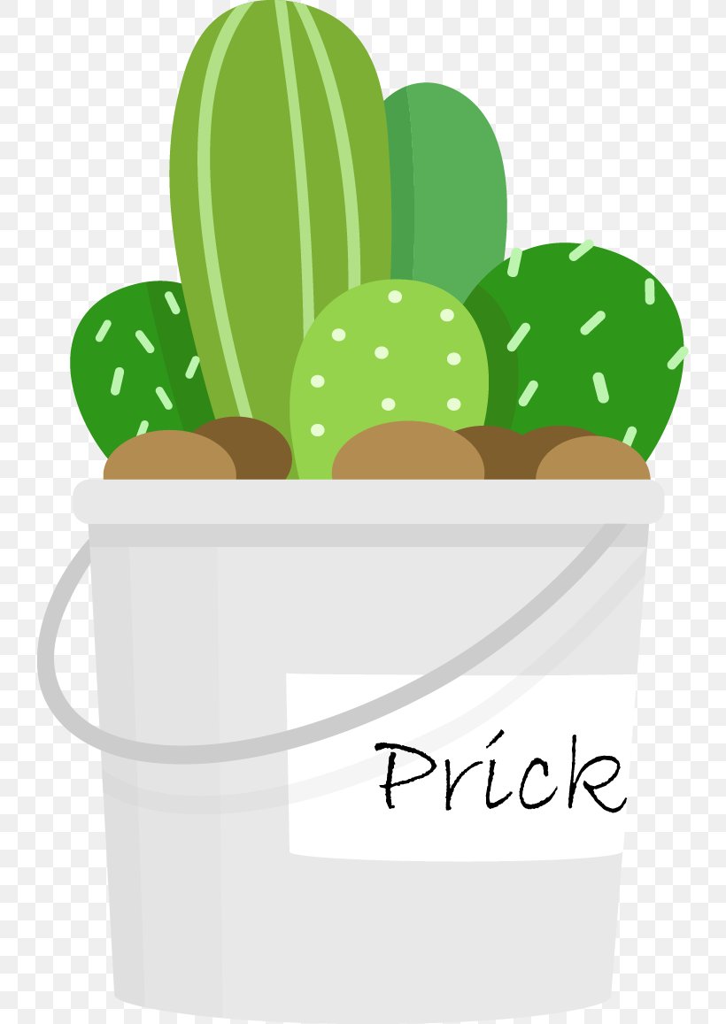 Cactaceae Cartoon Clip Art, PNG, 736x1157px, Cactaceae, Cactus, Cartoon, Education, Flowering Plant Download Free