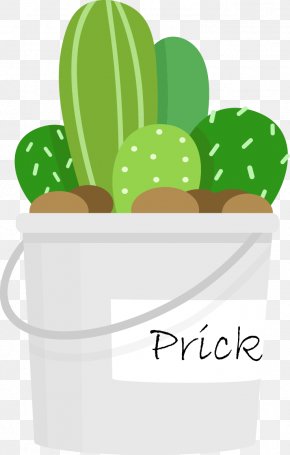 Desenho de cacto verde, Cactaceae Cartoon Saguaro, Cartoon Cactus s, folha,  vertebrado png