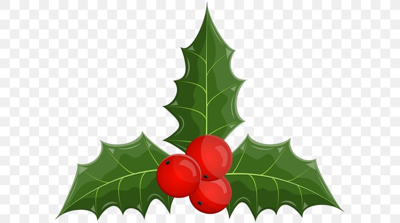 Clip Art Image Common Holly Aquifoliales, PNG, 600x458px, Common Holly, American Holly, Aquifoliales, Christmas Day, Flower Download Free