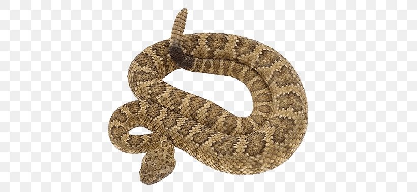 Rattlesnake Vipers Clip Art, PNG, 425x379px, Snake, Animal, Animal Bite, Boa Constrictor, Bothrops Alternatus Download Free