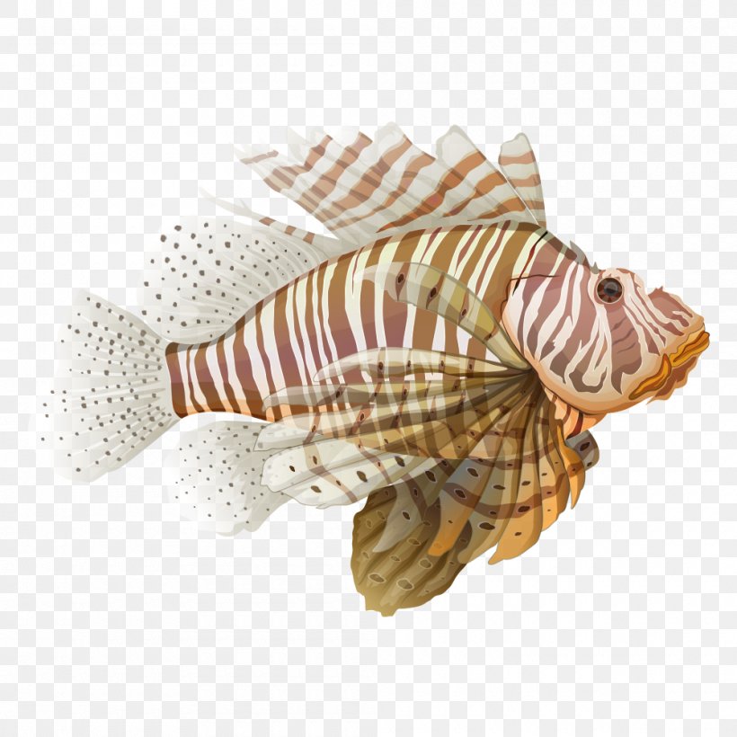 Red Lionfish Spotfin Lionfish Illustration, PNG, 1000x1000px, Red Lionfish, Conchology, Drawing, Invertebrate, Lionfish Download Free
