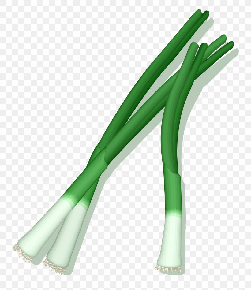 Shallot Scallion Vegetable Zucchini Clip Art, PNG, 2075x2400px, Shallot, Food, Garlic, Onion, Parsnip Download Free