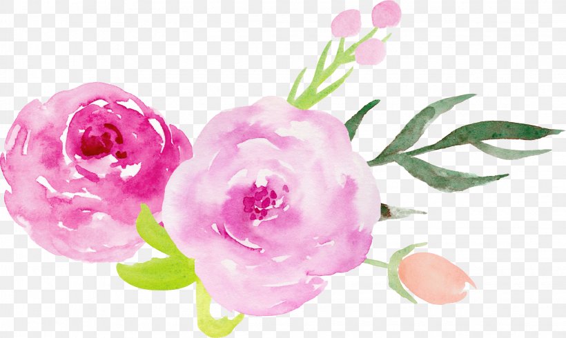 Wedding Invitation Centifolia Roses Garden Roses Pink Flower, PNG, 2245x1343px, Wedding Invitation, Artificial Flower, Blossom, Centifolia Roses, Cut Flowers Download Free
