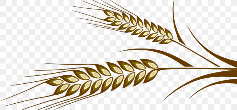 Feather, PNG, 927x431px, Line Art, Biology, Commodity, Feather, Geometry Download Free