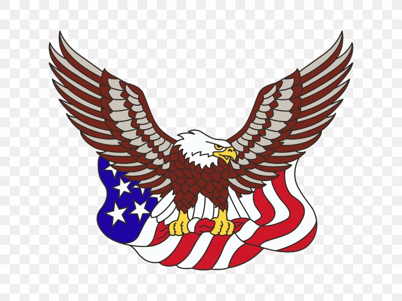 Bald Eagle United States Of America Flag Of The United States Clip Art, PNG, 1600x1200px, Bald Eagle, Accipitriformes, Beak, Bird, Bird Of Prey Download Free